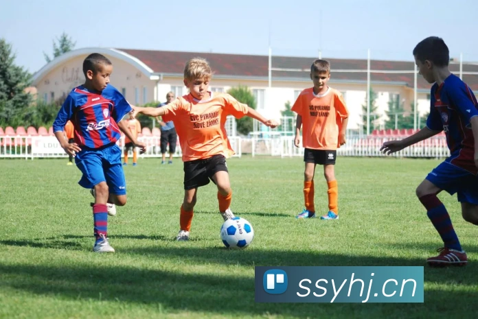 半岛网页版登录入口品牌故事